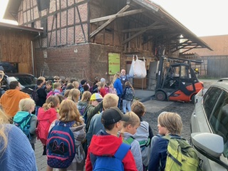 Äpfel sammeln und Besuch der Mosterei