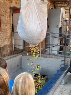 Äpfel sammeln und Besuch der Mosterei